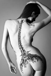 sexy_spine_tattoo.jpg