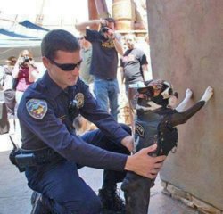 funny do up against the wall.jpg