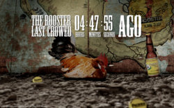 Pacifico-Rooster-Cam_2.jpg