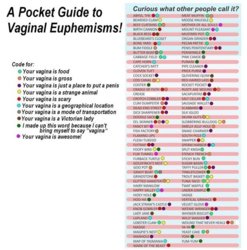 Pocket-Guide-To-Vaginal-Euphemisms-full.jpg