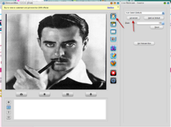 webcammax1.png