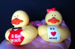 vdayduckies.JPG