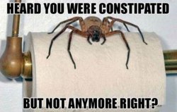 funny Heard_You_Were_Constipated.jpg