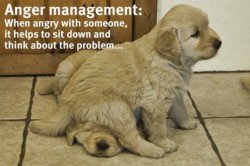 pup.jpg