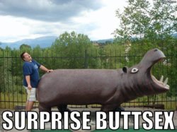 surprise_buttsex.jpg