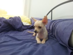 20130223_160136.jpg