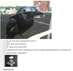 swag.jpg
