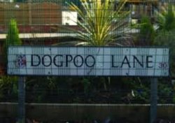 dogpoo lane-bmp.jpg