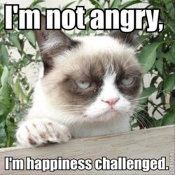 grumpy-cat.jpg