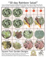 square-foot_30-day-salad.jpg