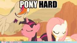 ponyhard.gif