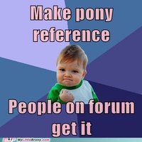 pony2.jpg