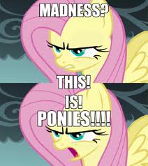 pony4.jpg
