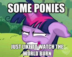 pony3.png