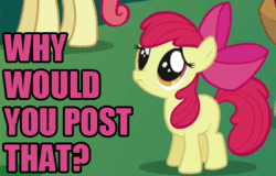 130386210992-tumblr_lgq1btt3Wp1qe.gif