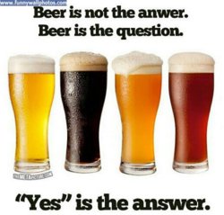 funny beer-question.jpg