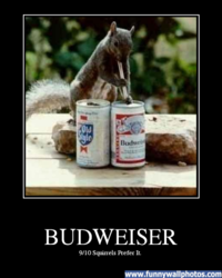 funny beer sq budweiser.png