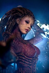 kerrigan 5.jpg