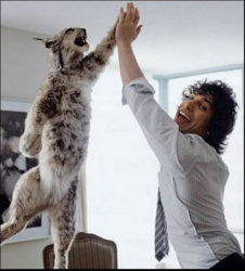 highfive.jpg