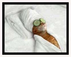 funny ca spa time.jpg
