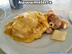 funny awwmelette.jpg