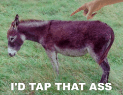 tap.gif