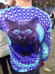funny ca shirt.jpg
