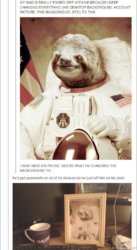 spacesloth.jpg