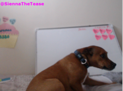 2013-08-22_19-02-40-926.png