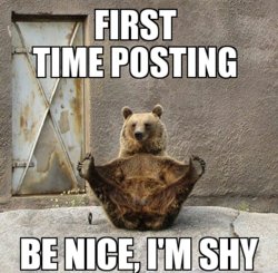 shy.jpg