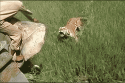tumblr_msrdq4gJne1qicu7no1_400.gif