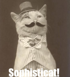 sophosticat..jpg