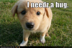 cute-puppy-pictures-outside-needs-hug.jpg