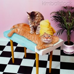 massage.jpg