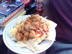 Snapshot_20110222.JPG