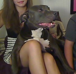 roxy2.jpg