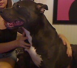 Roxy1.jpg