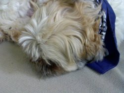 Snapshot_20110327_2.JPG