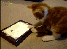 SoCute!.gif