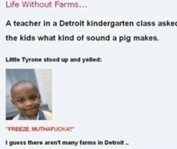 funny freezemf pig-farm.jpg