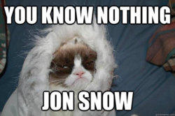 odd_you_know_nothing_jon_snow.jpg
