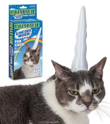 cat unicorn.jpg