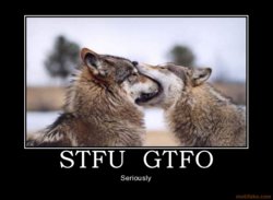 stfu-gtfo-demotivational-poster-1210905397.jpg