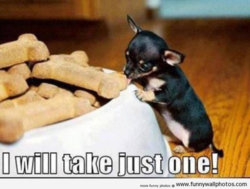 funny pu i will take justone.jpg