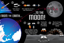 infographic-print-copy-1024x695.jpg