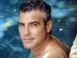 Shutterbuck-poolside.jpg