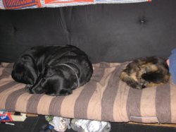 Zoe_and_Tiggy.jpg
