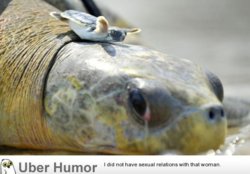 funny weeeeeeeeeeeee.jpg
