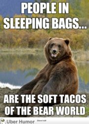 funny soft tacos bear world.jpg