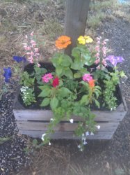 flower box.jpg